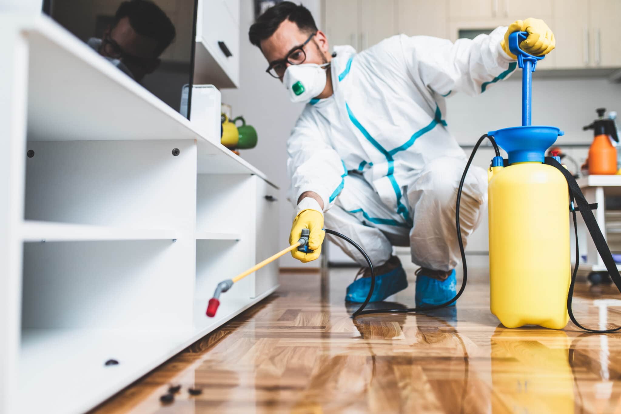 Exterminators Process A Comprehensive Guide to Pest Extermination: What to Expect from a ...